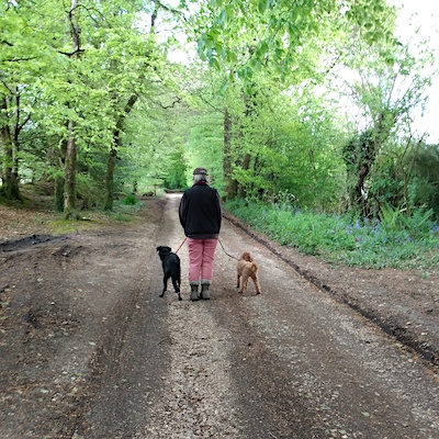Vet-Pet-Sit walking in the countryside